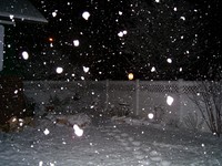 Highlight for Album: Boise Snowstorm