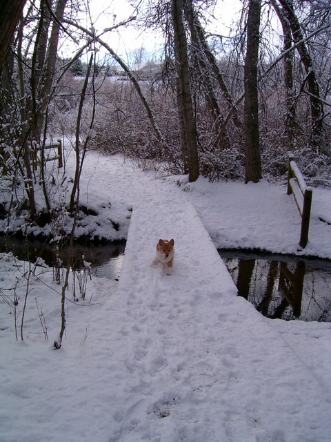 0306 Emma on the snow bridge