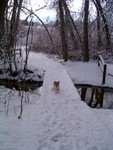0306 Emma on the snow bridge