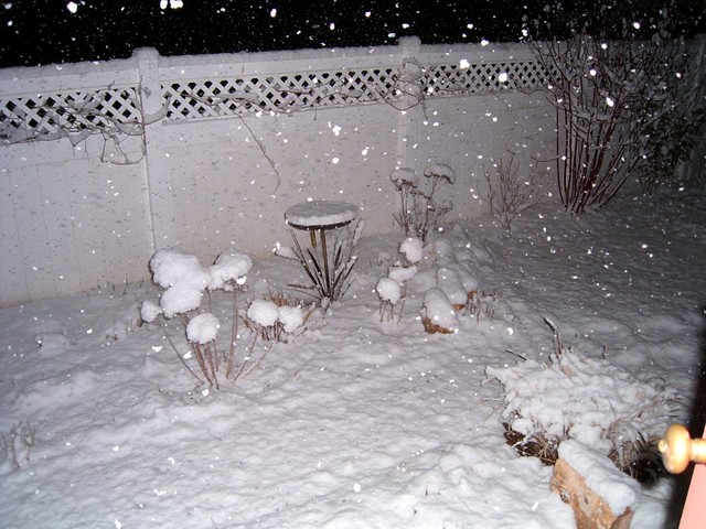 0306 Night snow in yard
