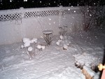 0306 Night snow in yard