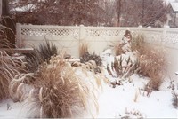 Highlight for Album: Images of Idaho