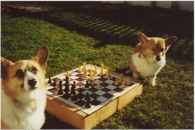 Emma in checkmate