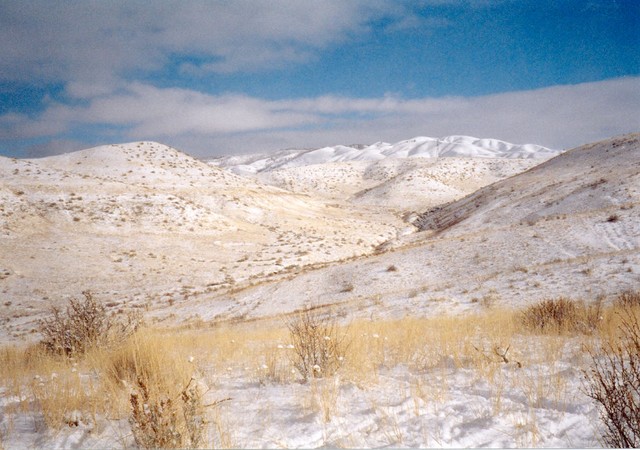 A Boise Christmas card