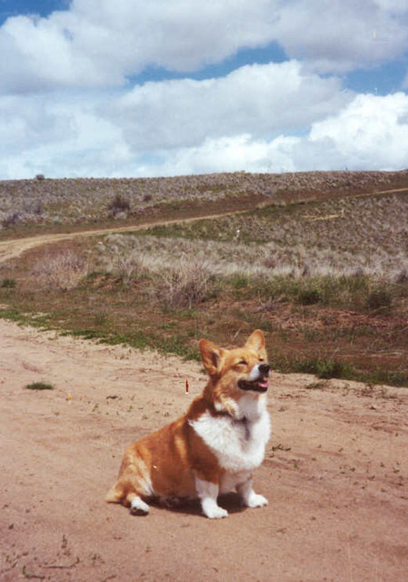 Hitting the Trail