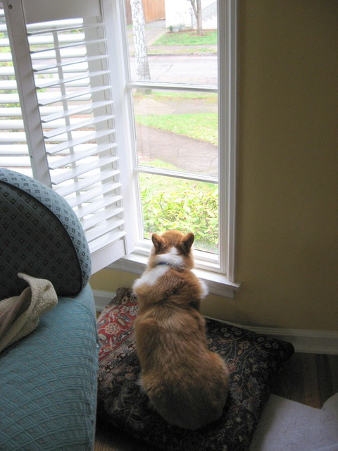 Guarding the House